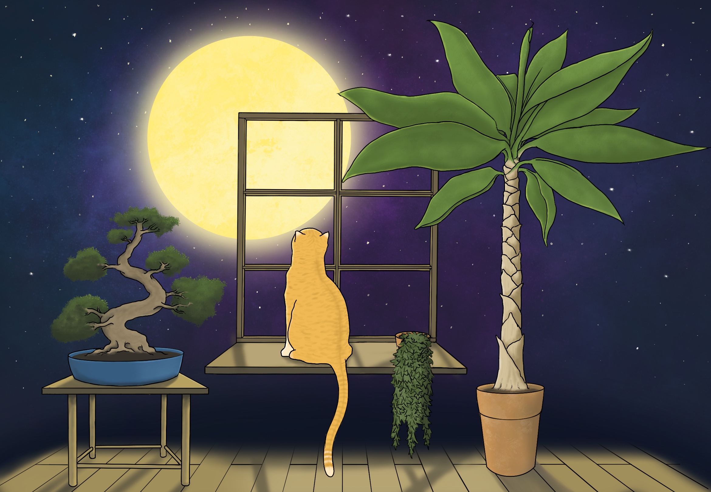 The Cat and the Stars