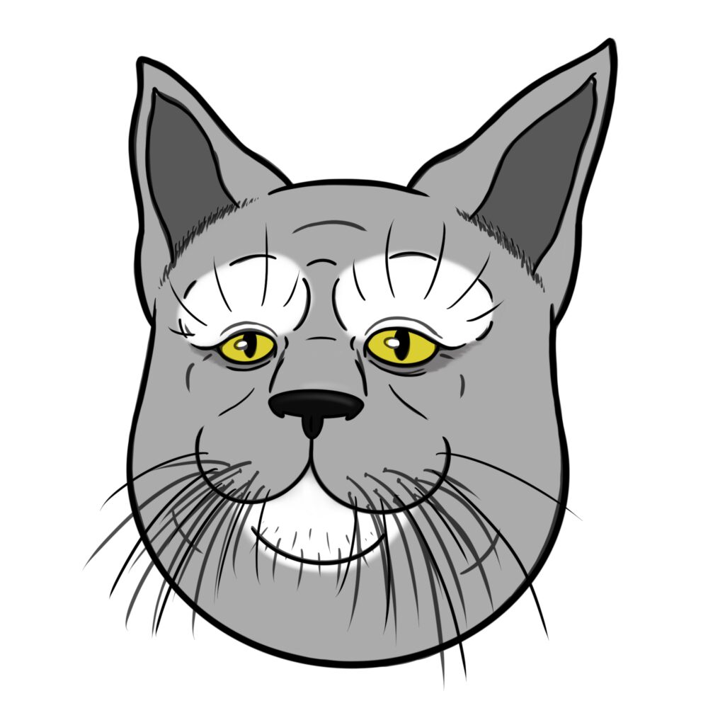 Grey Cat Illustration made by Taeke Daatselaar from Artoco