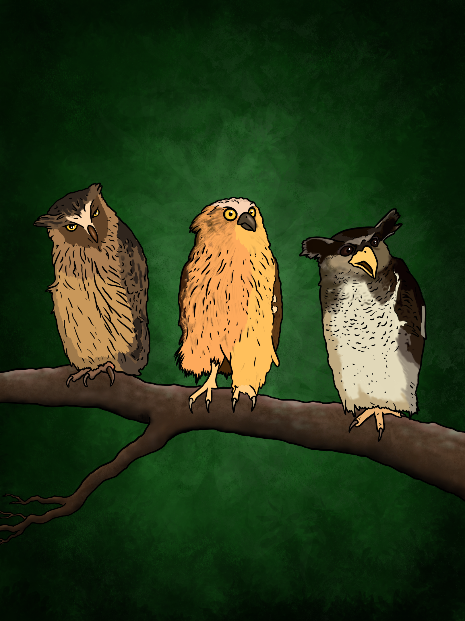 Three owls